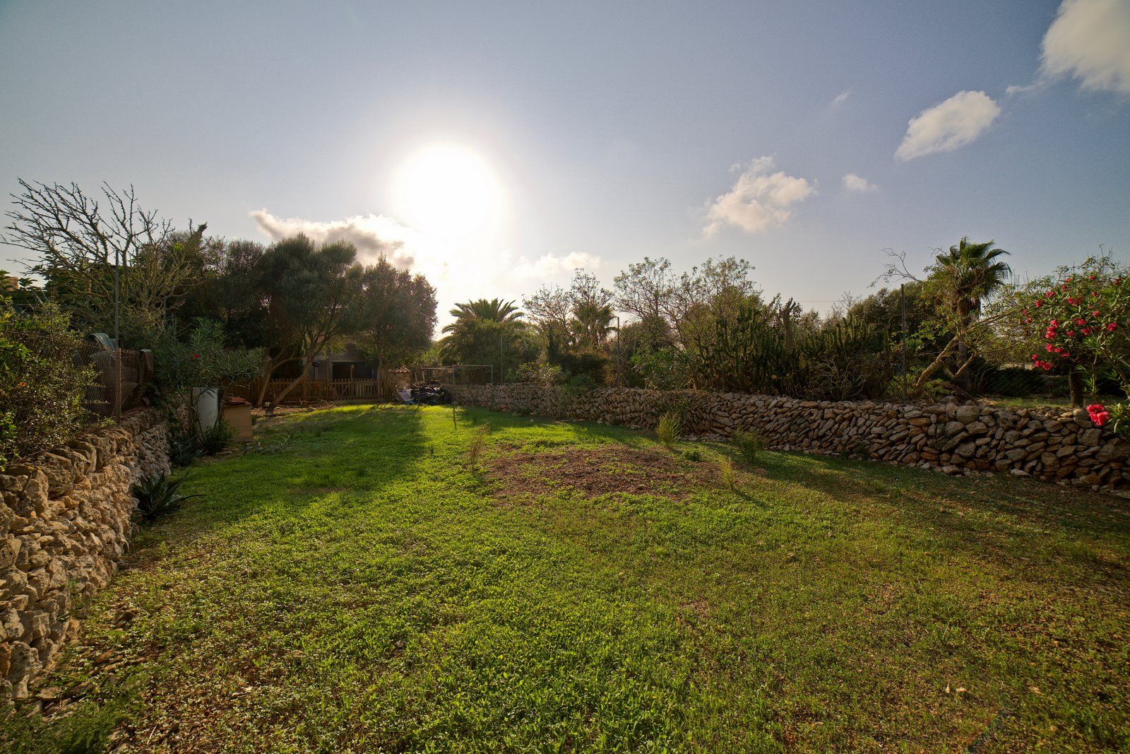 15-2025-Villasyfincasmallorca.jpg Charming House with Large Garden for Rent in Ses Salines