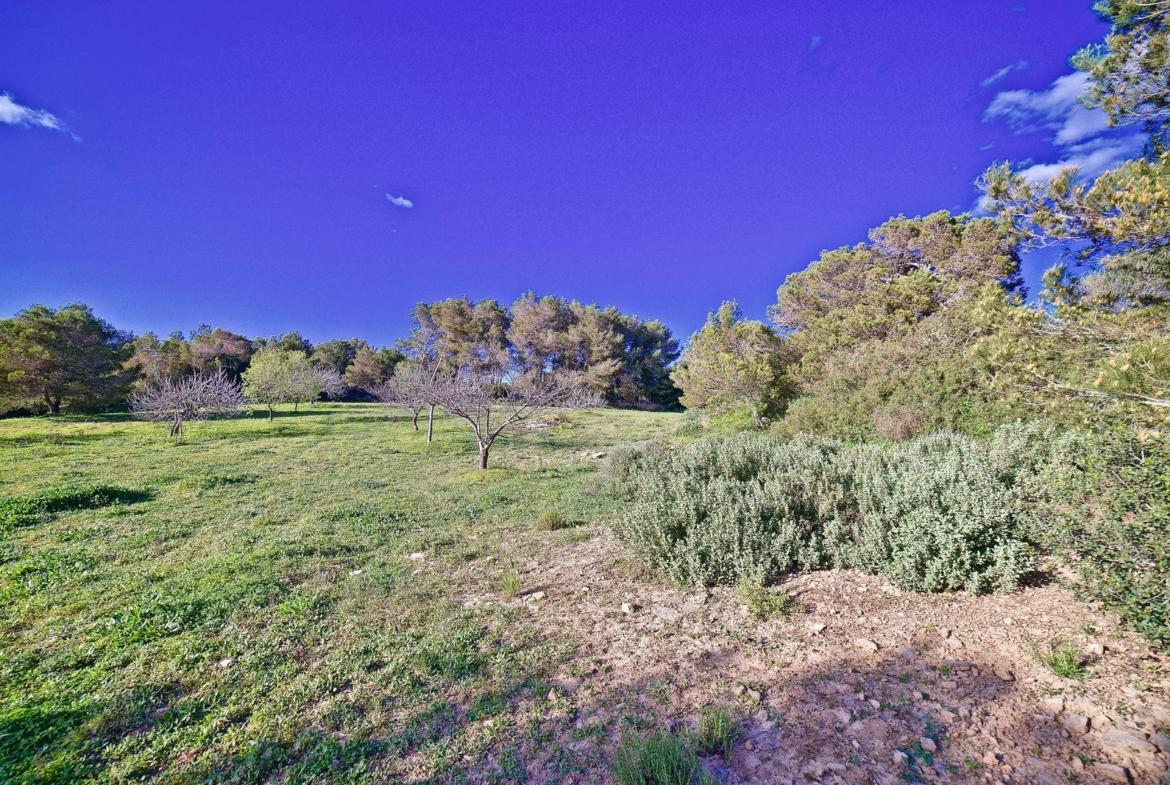 Country House for Rent with Sea & Cabrera Views, Colonia de Sant Jordi