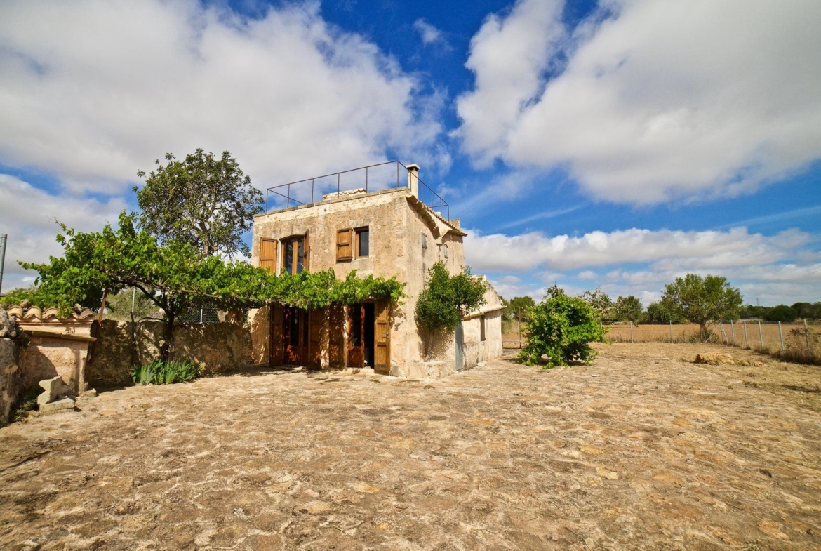 Country House for Rent in Santanyí – Restored Mill on 15,000 m² Estate