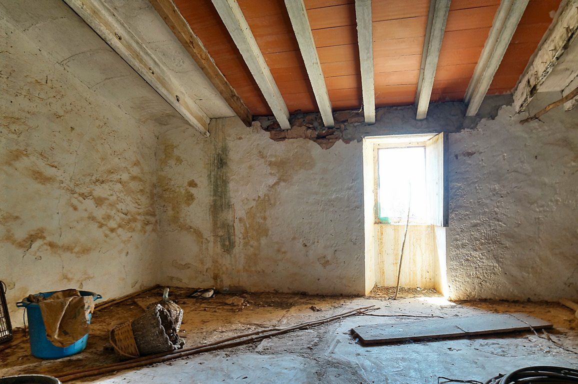 Landhaus zum Renovieren in Ses Salines: Finca-Projekt auf Mallorca