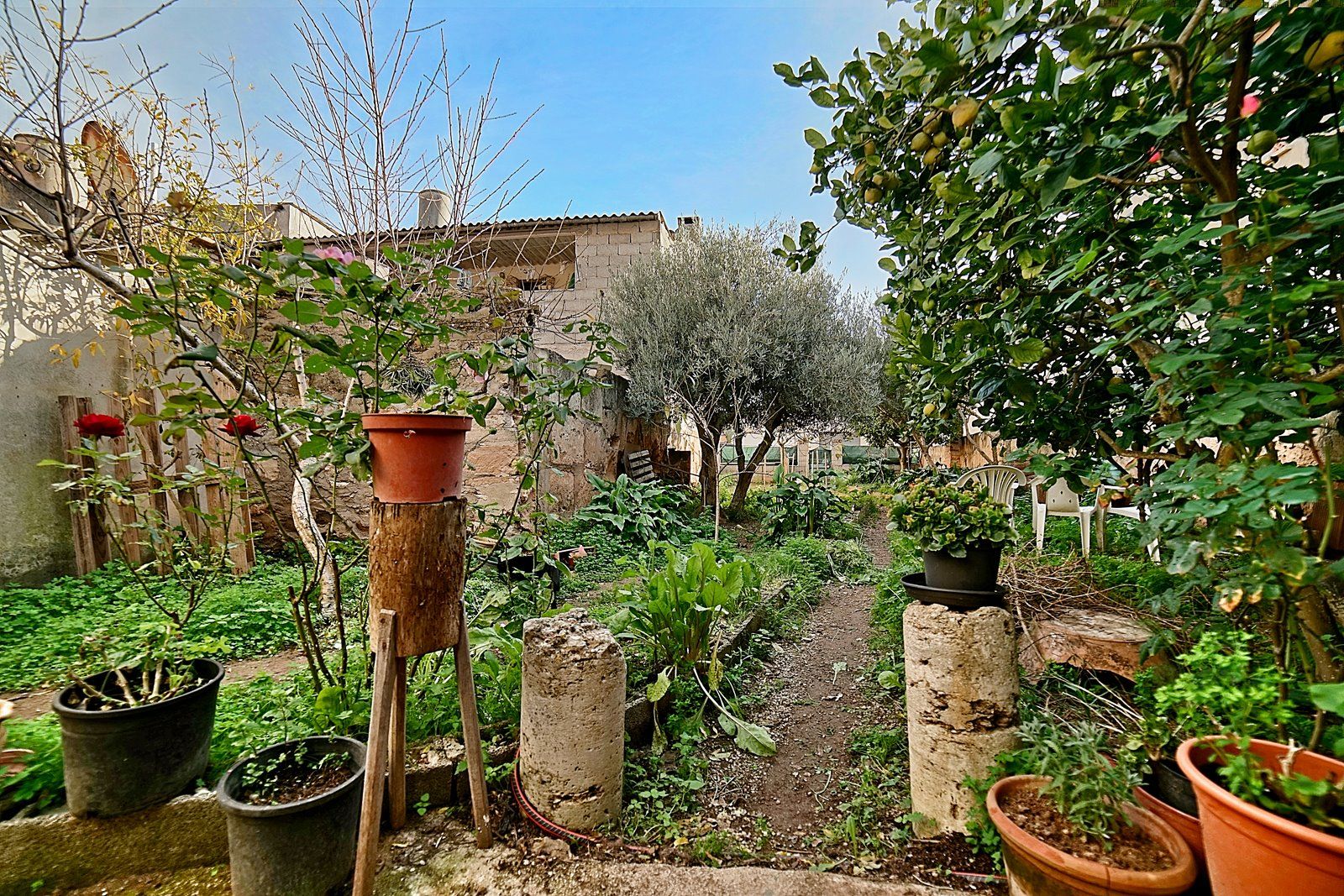 15-Villasyfincasmallorca-5.jpg Dorfhaus mit Garten in Ses Salines kaufen · 214 m²
