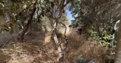 Plot for Sale in Llucmajor, 253 m² in the Old Town