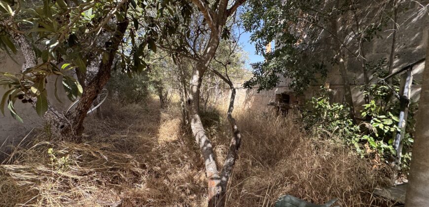 Plot for Sale in Llucmajor, 253 m² in the Old Town