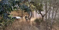 Plot for Sale in Llucmajor, 253 m² in the Old Town
