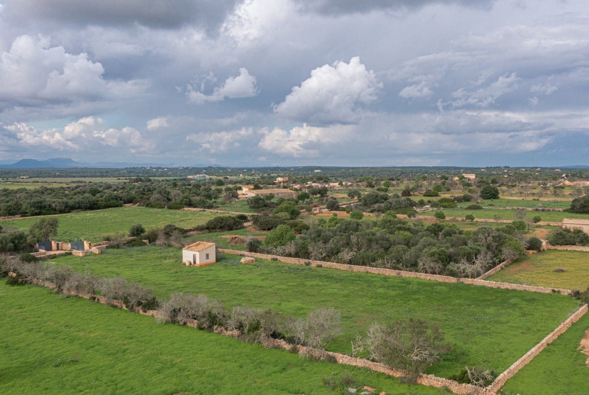 Country Cottage with Large Plot Near Ses Salines, Santanyí