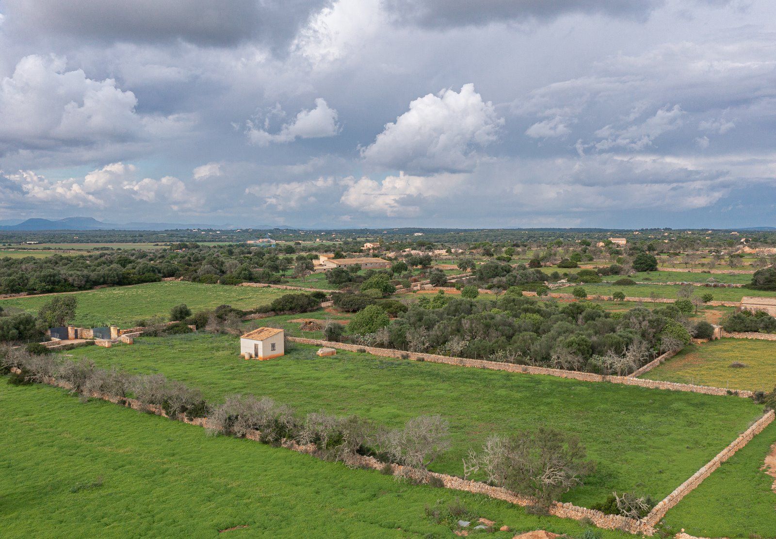 16-1233-Villasyfincasmallorca.jpg Country Cottage with Large Plot Near Ses Salines, Santanyí