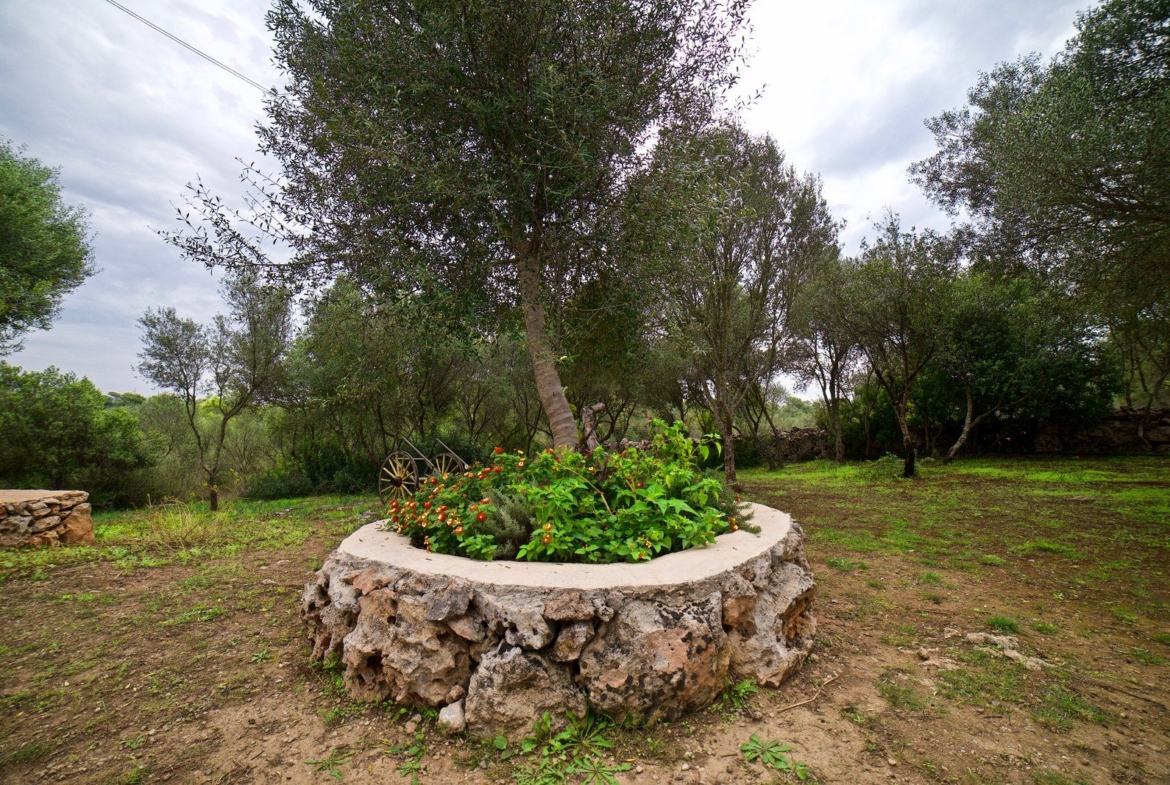 Alquiler casa de campo en Sineu con jardín y chimenea