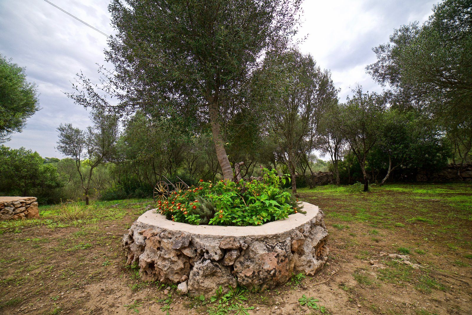 16-2021-Villasyfincasmallorca.jpg Alquiler casa de campo en Sineu con jardín y chimenea