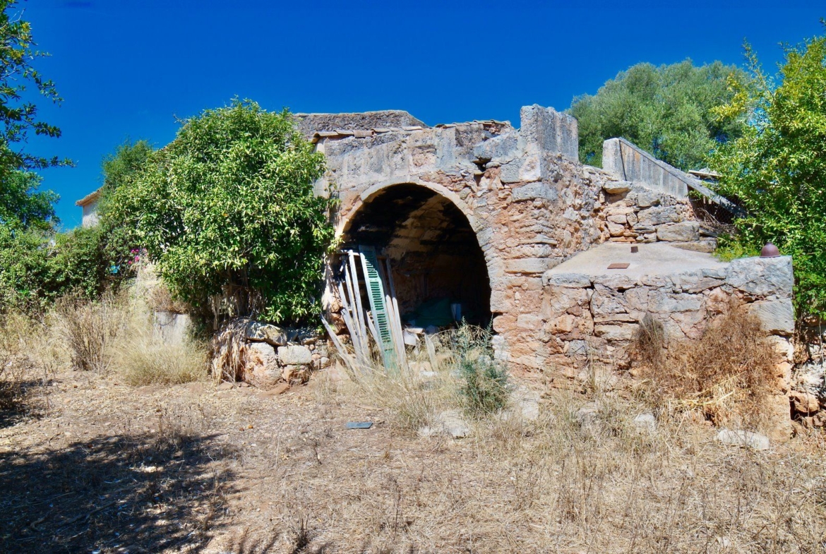 Landhaus zum Renovieren in Ses Salines: Finca-Projekt auf Mallorca