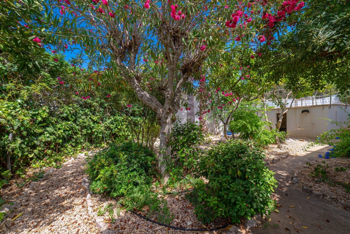 Private Villa with Pool & Garden in Portopetro, Mallorca