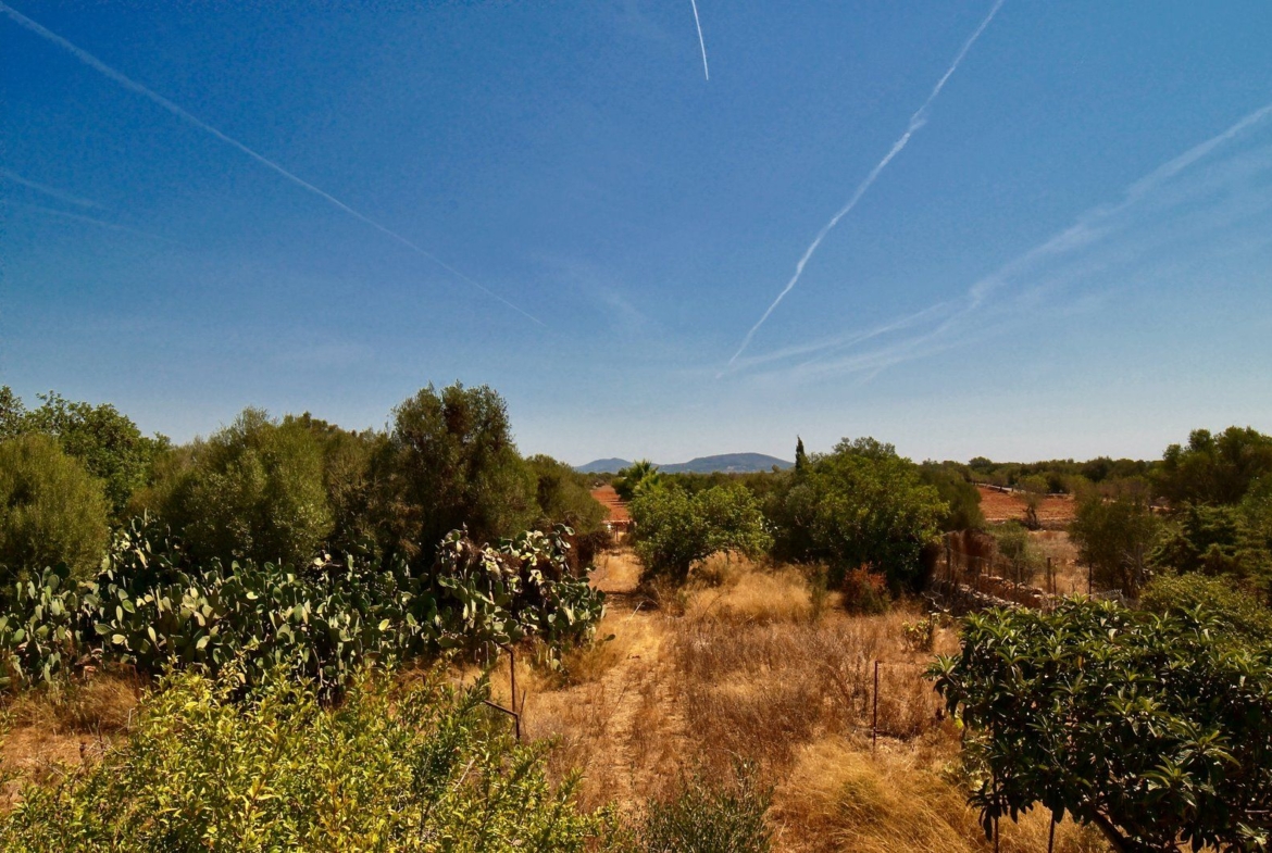 Landhaus zum Renovieren in Ses Salines: Finca-Projekt auf Mallorca