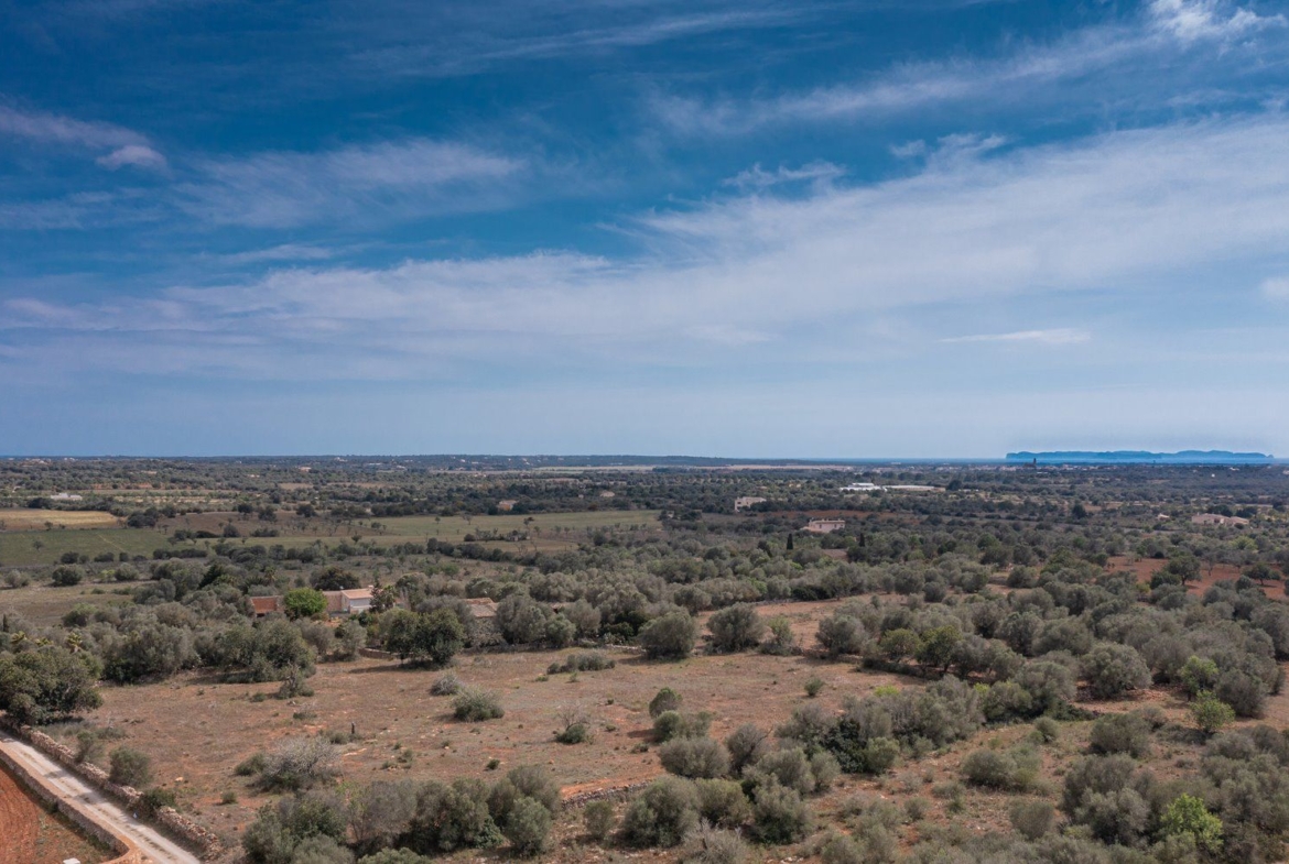 Landhaus zum Renovieren in Ses Salines: Finca-Projekt auf Mallorca