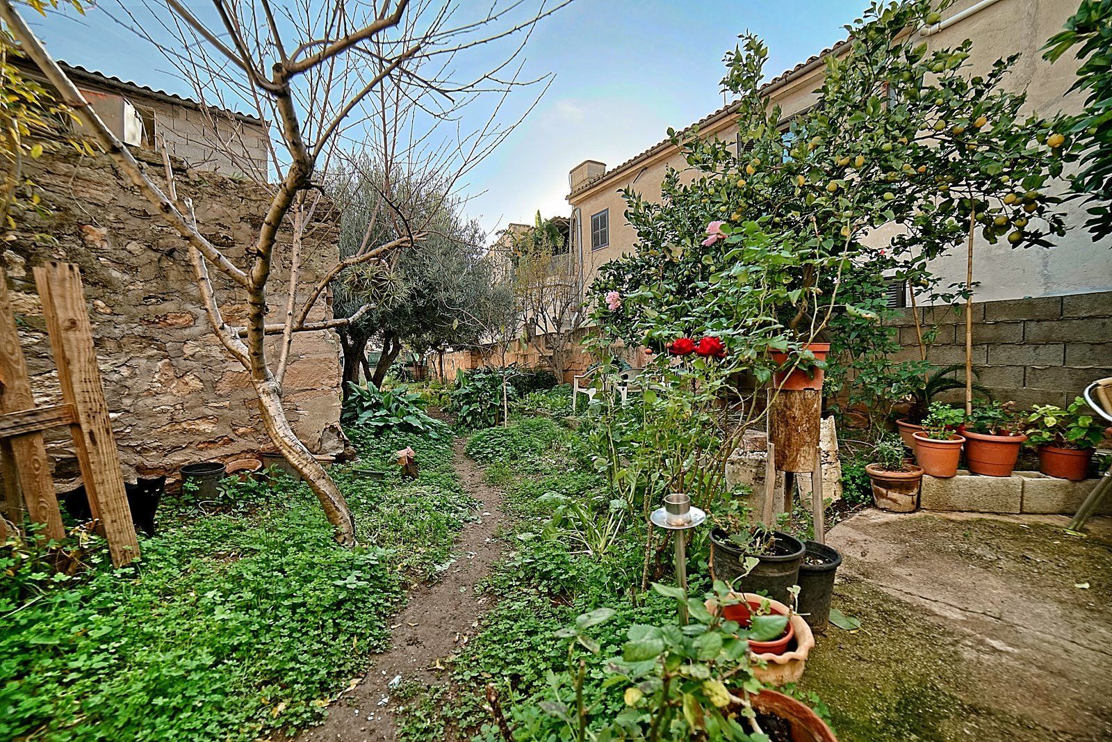 17-Villasyfincasmallorca-5.jpg Dorfhaus mit Garten in Ses Salines kaufen · 214 m²