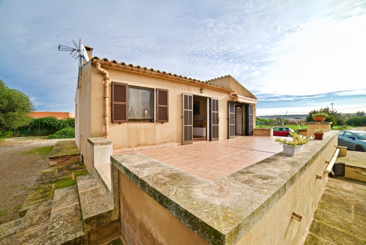 Country House for Rent Near Ses Salines, Campos, Mallorca