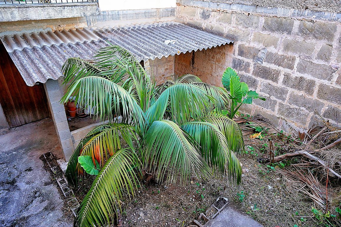 Dorfhaus mit Garten und Terrasse in Artá, Mallorca kaufen