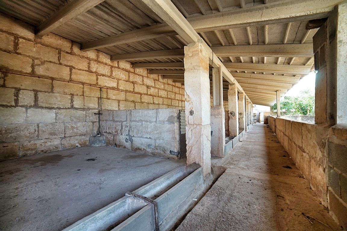 Country House to Renovate in Ses Salines, Southern Mallorca