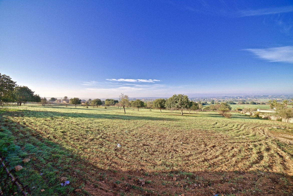 Landhaus zur Miete mit Meerblick bei Ses Salines, Mallorca