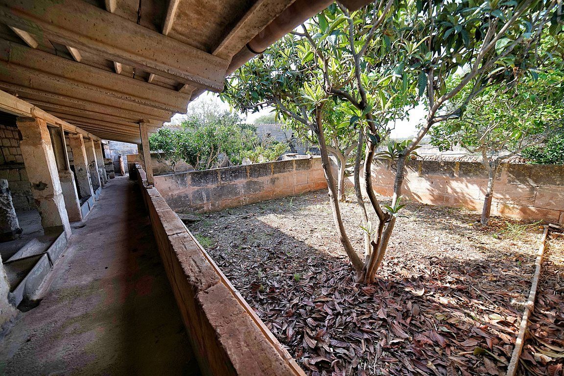 Country House to Renovate in Ses Salines, Southern Mallorca