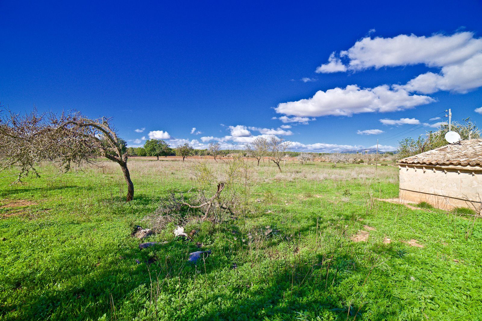 Casa de campo en alquiler entre Campos y Llucmajor