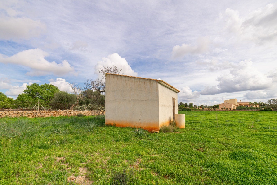 Country Cottage with Large Plot Near Ses Salines, Santanyí