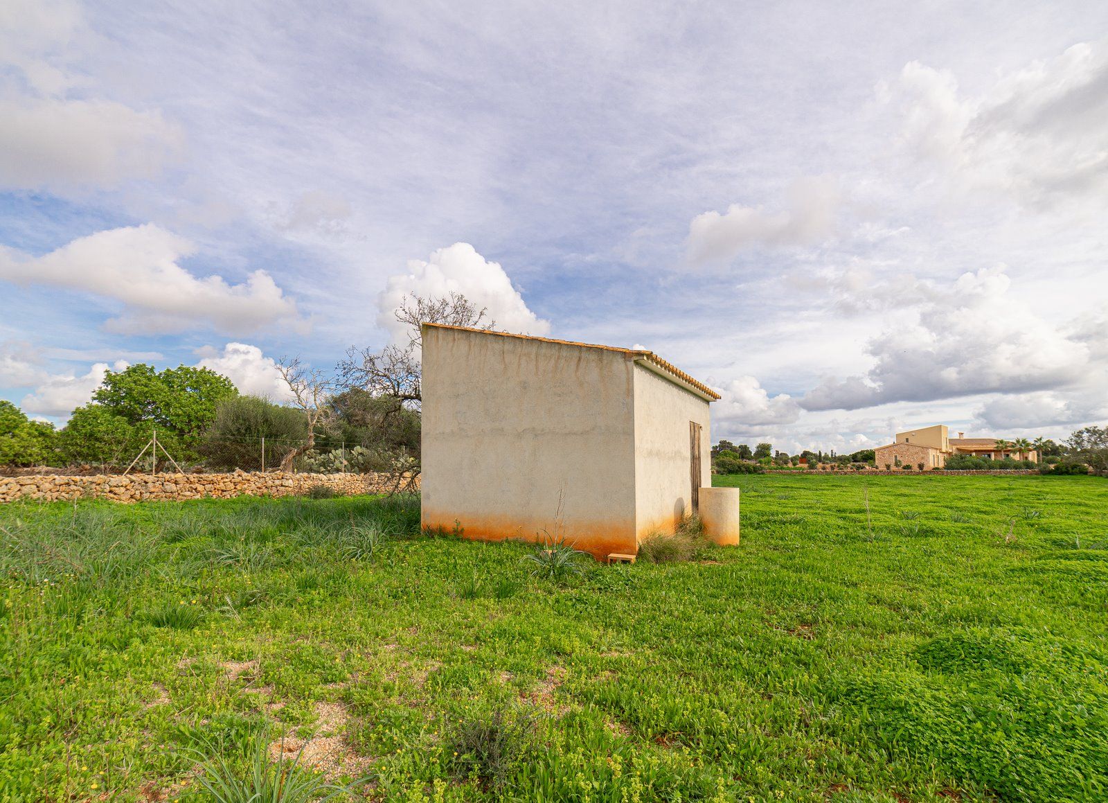 2-1233-Villasyfincasmallorca.jpg Country Cottage with Large Plot Near Ses Salines, Santanyí