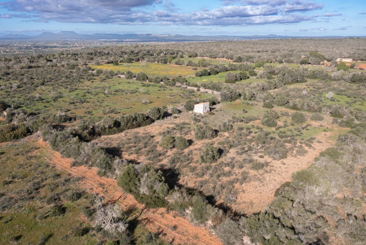 Baugrundstück 14.100 m² bei Ses Salines, Südmallorca