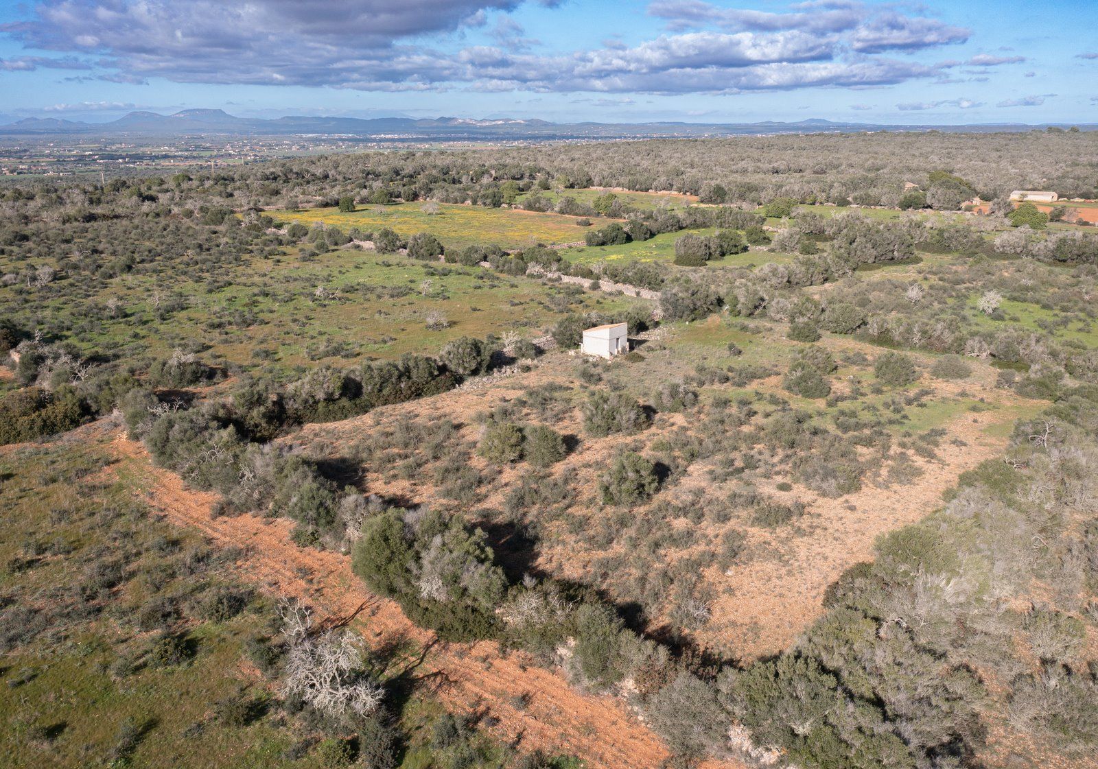 Baugrundstück 14.100 m² bei Ses Salines, Südmallorca