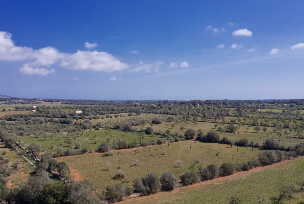 Terreno edificable de 23.000 m² cerca de Ses Salines