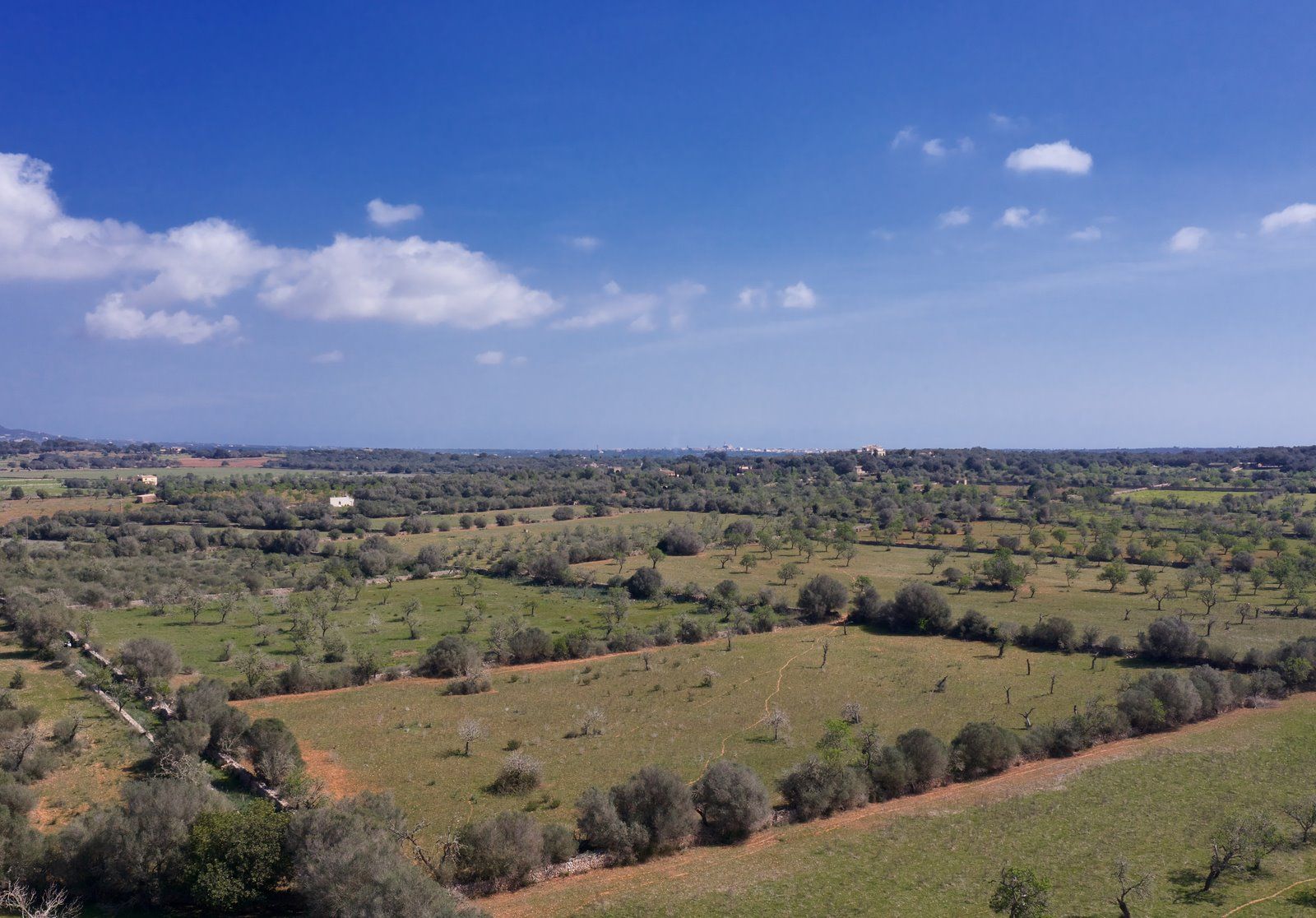 2-2001-Villasyfincasmallorca.jpeg Terreno edificable de 23.000 m² cerca de Ses Salines
