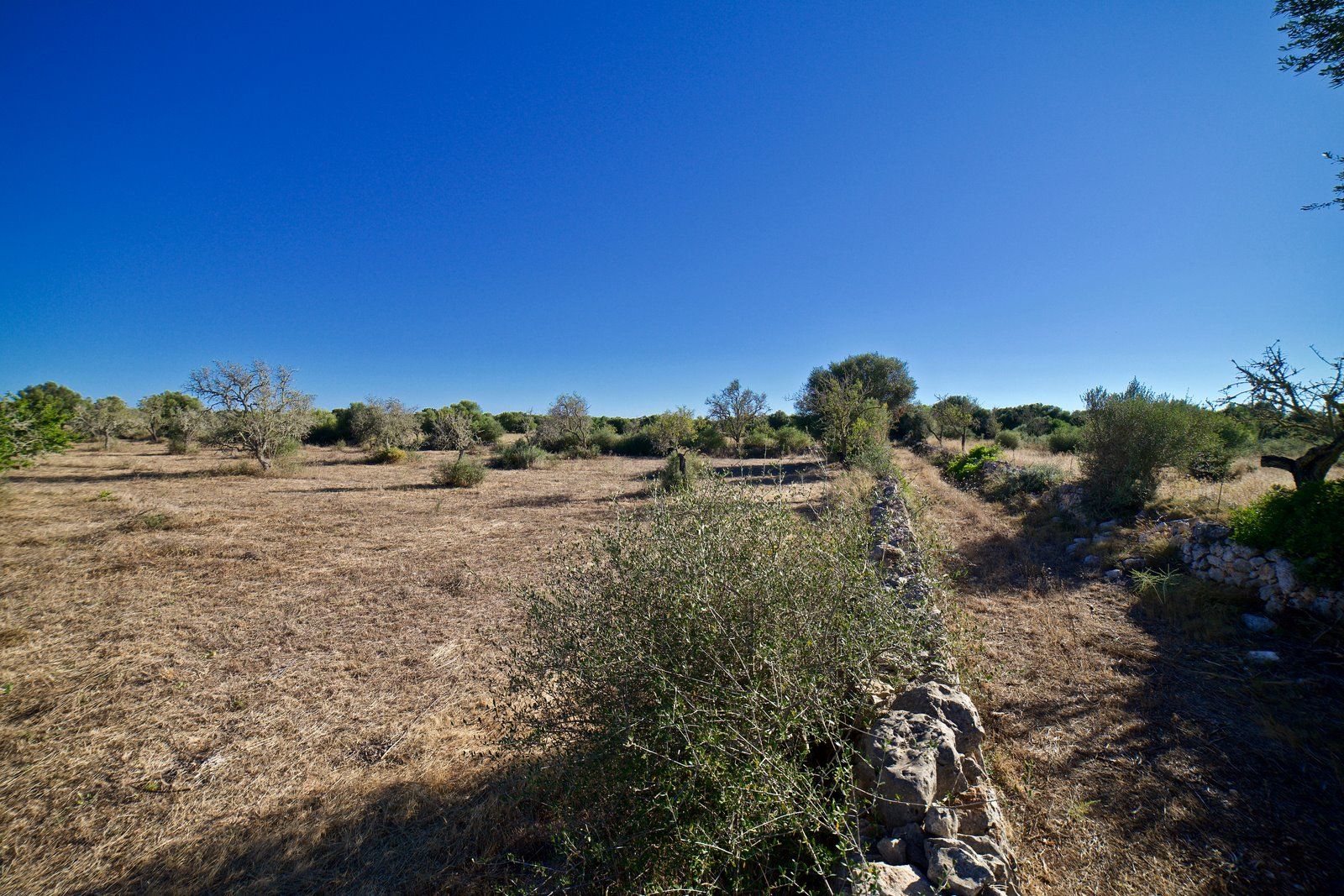 2-2007-Villasyfincasmallorca.jpg Terreno edificable de 23.000 m² cerca de Ses Salines