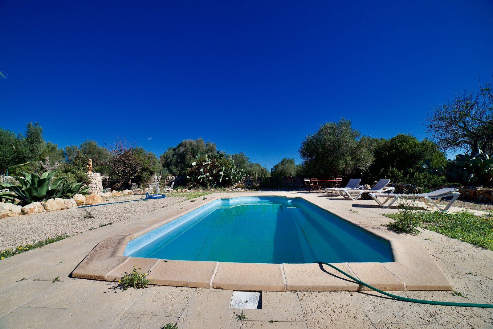 2-2032-Villasyfincasmallorca-1.jpeg Restored Windmill with Garden, Pool & Guest House in Ses Salines