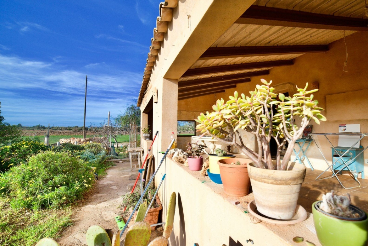 Casa de campo con jardín cerca de Ses Salines