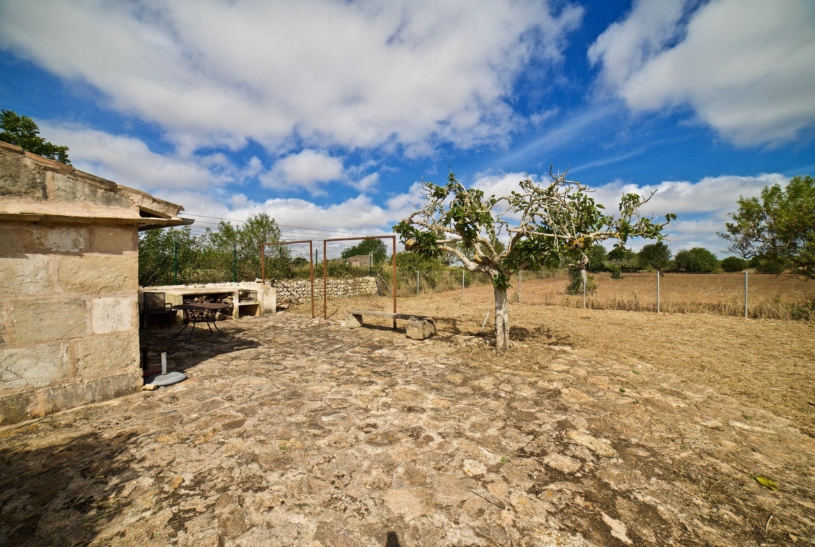 Country House for Rent in Santanyí – Restored Mill on 15,000 m² Estate