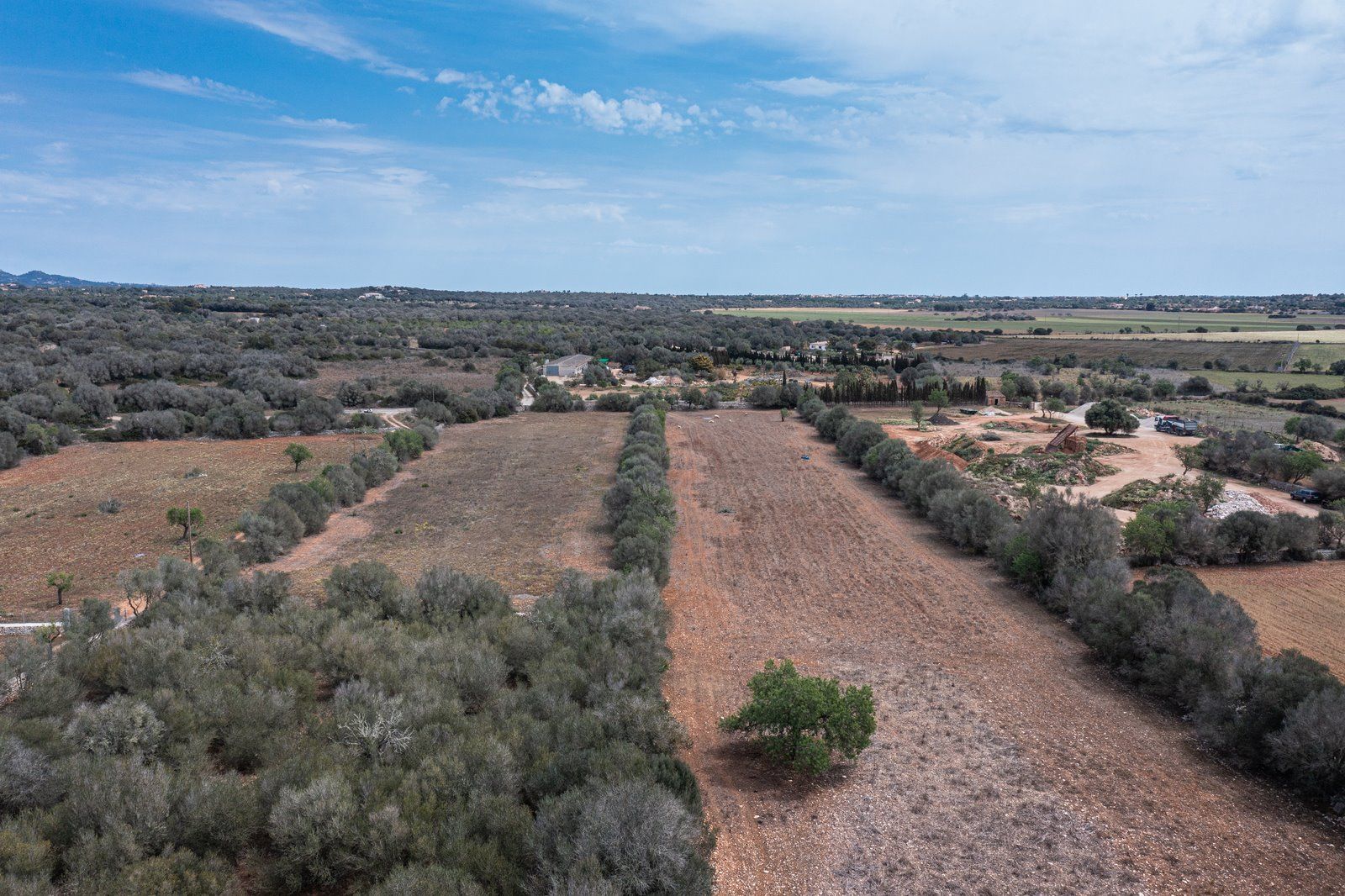 Baugrundstück 26.000 m² bei Ses Salines, Südmallorca