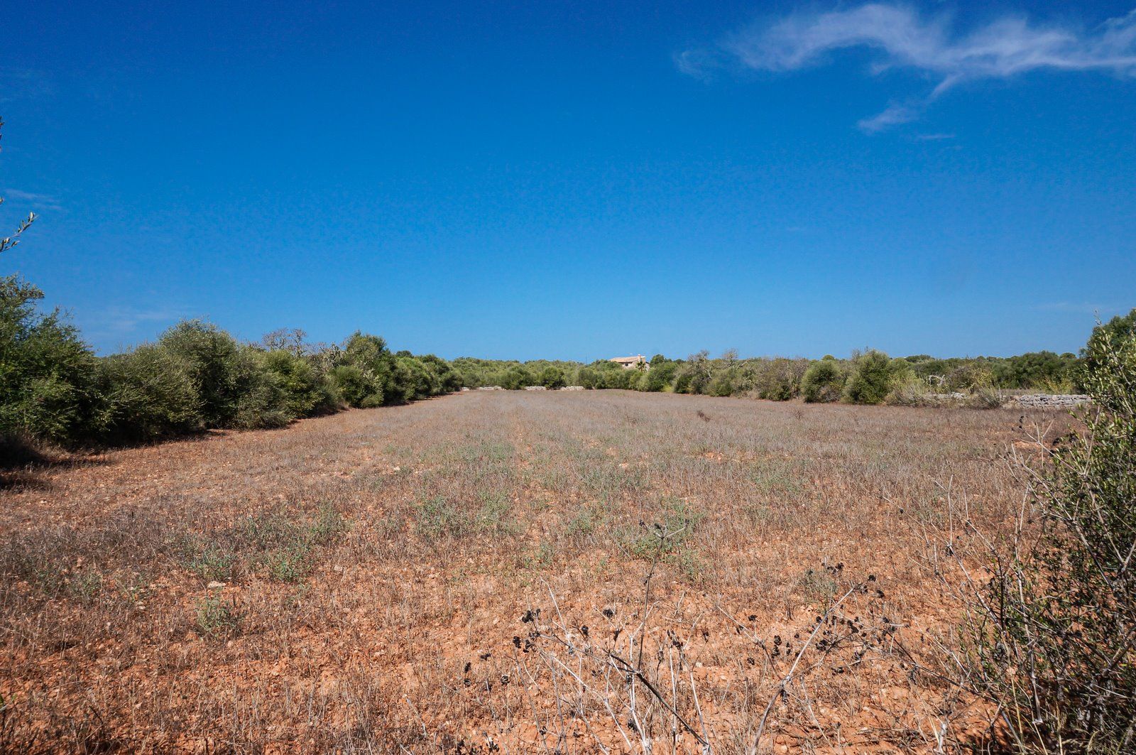 Baugrundstück 26.000 m² bei Ses Salines, Südmallorca