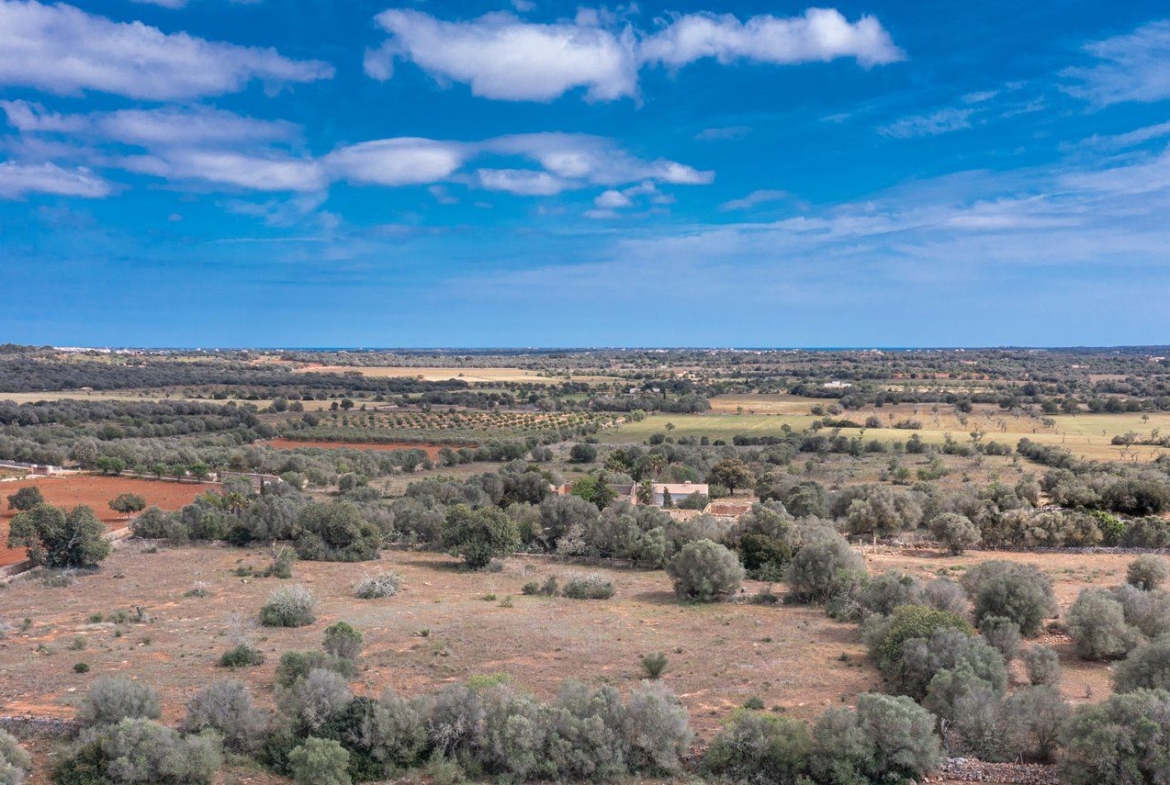 Landhaus zum Renovieren in Ses Salines: Finca-Projekt auf Mallorca