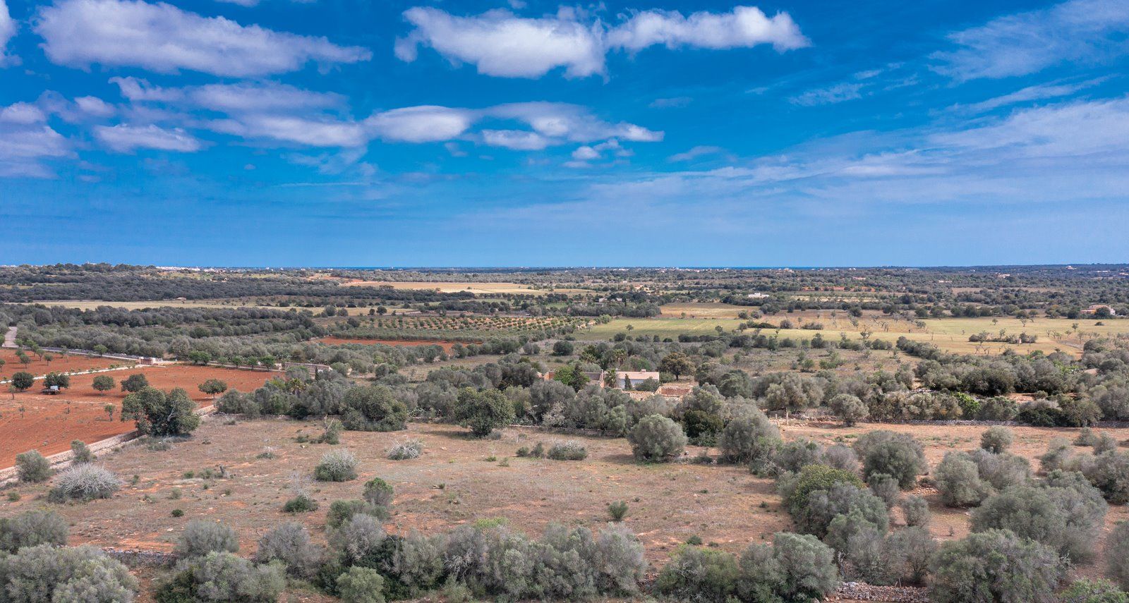 2-959-Villasyfincasmallorca.jpg Landhaus zum Renovieren in Ses Salines: Finca-Projekt auf Mallorca