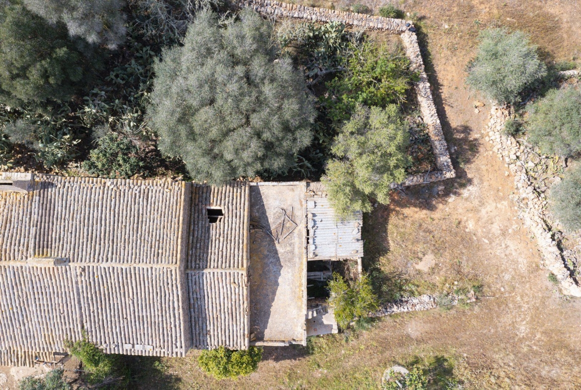 Landhaus zum Renovieren in Ses Salines: Finca-Projekt auf Mallorca