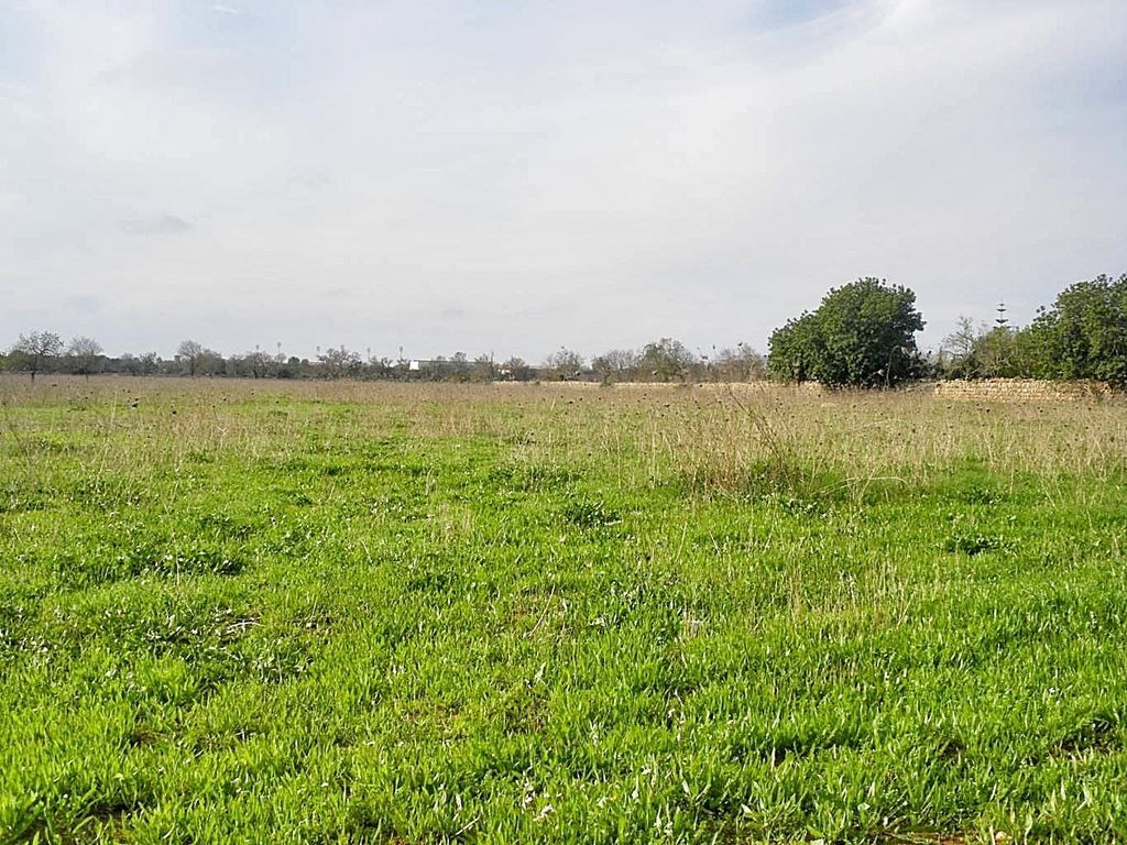 Parcela edificable de 27.500 m² en Santanyí junto a Mondragó