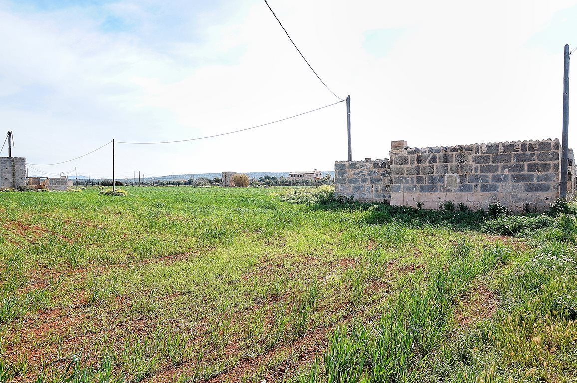 Casa de campo junto a Ses Salines con gran parcela