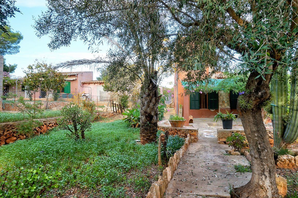 Dual-Unit House 450 m from Cala Mondragó Beach, Santanyí