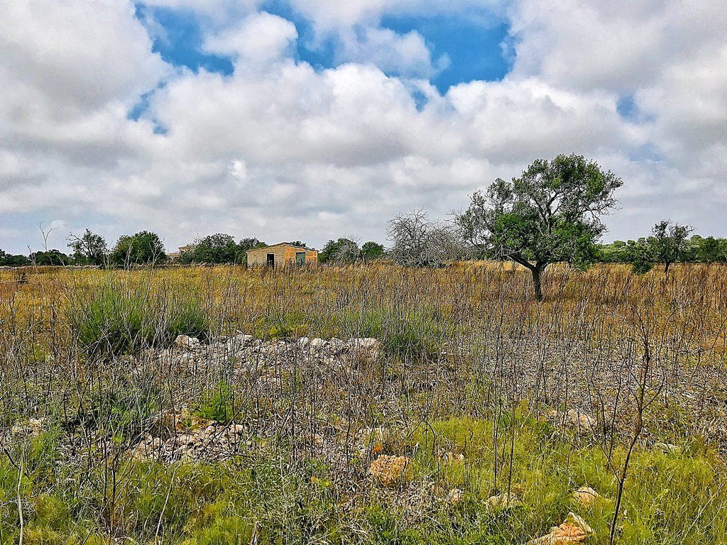 Bauland 28.000 m² bei Ses Salines, Santanyí – Mallorca