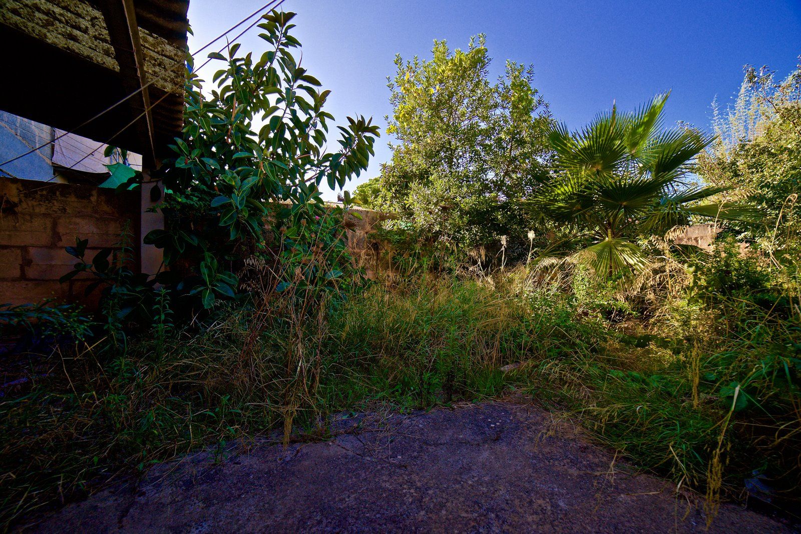 Stadthaus mit Garten und Garage in Campos, Mallorca