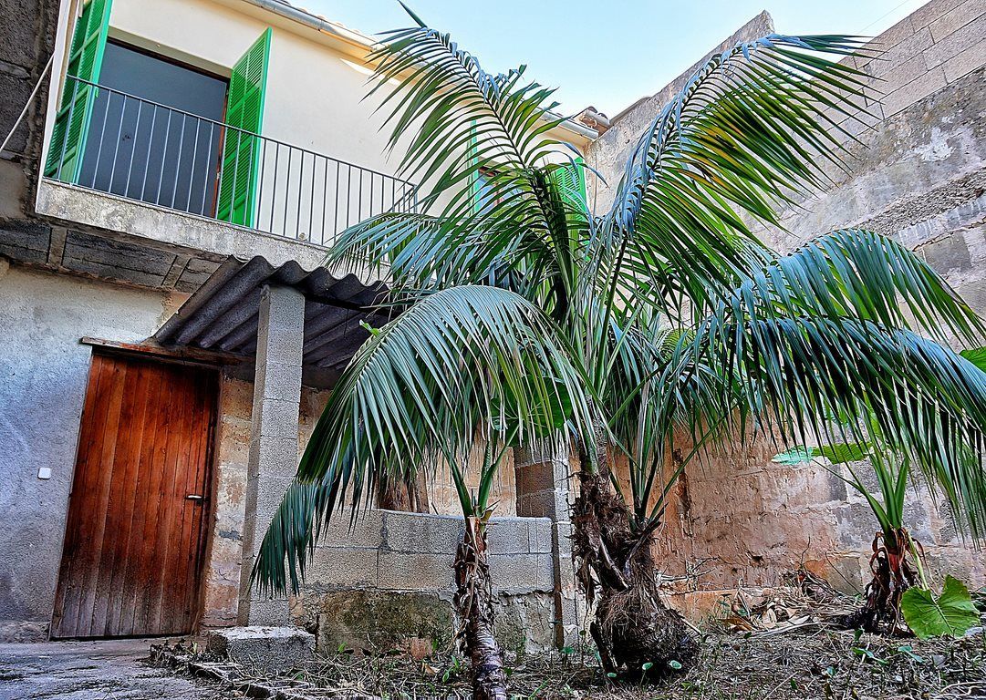 Dorfhaus mit Garten und Terrasse in Artá, Mallorca kaufen