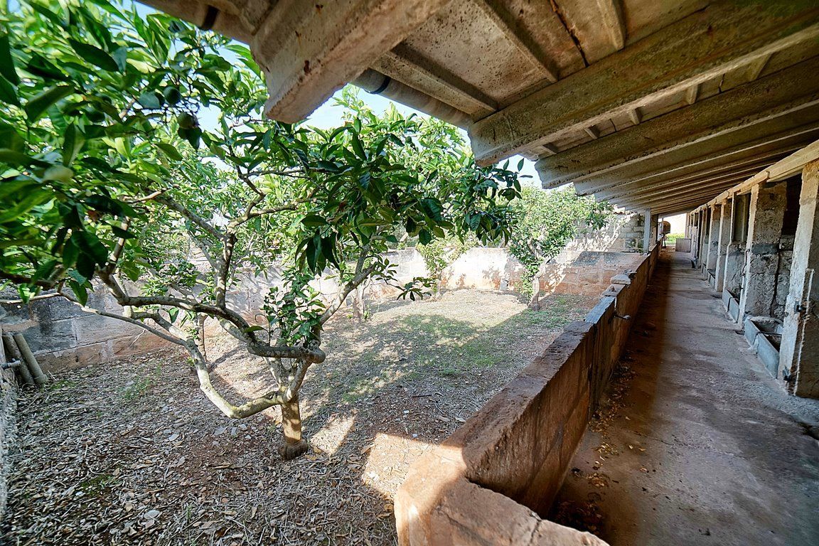 Country House to Renovate in Ses Salines, Southern Mallorca