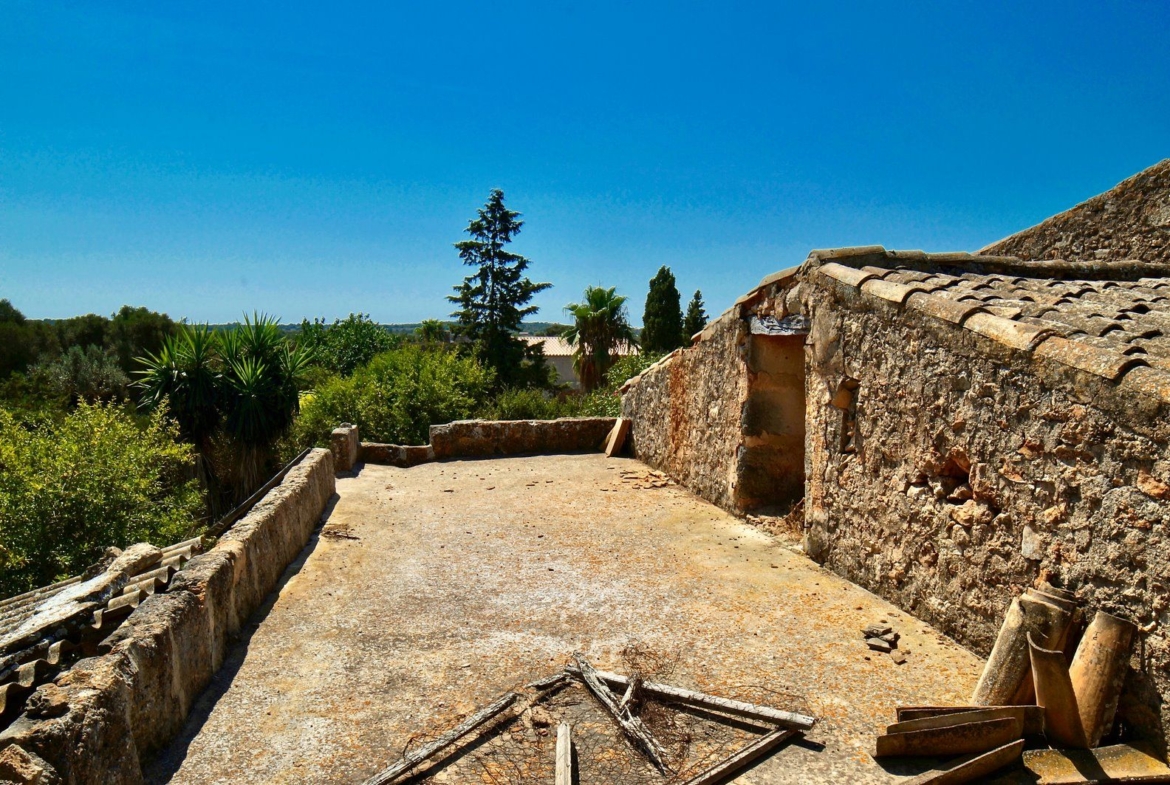 Landhaus zum Renovieren in Ses Salines: Finca-Projekt auf Mallorca
