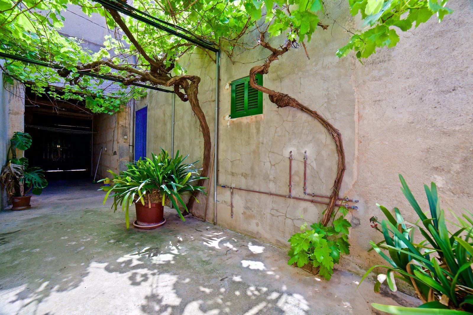 21-Villasyfincasmallorca-5.jpg Dorfhaus zur Miete in Ses Salines mit Innenhof