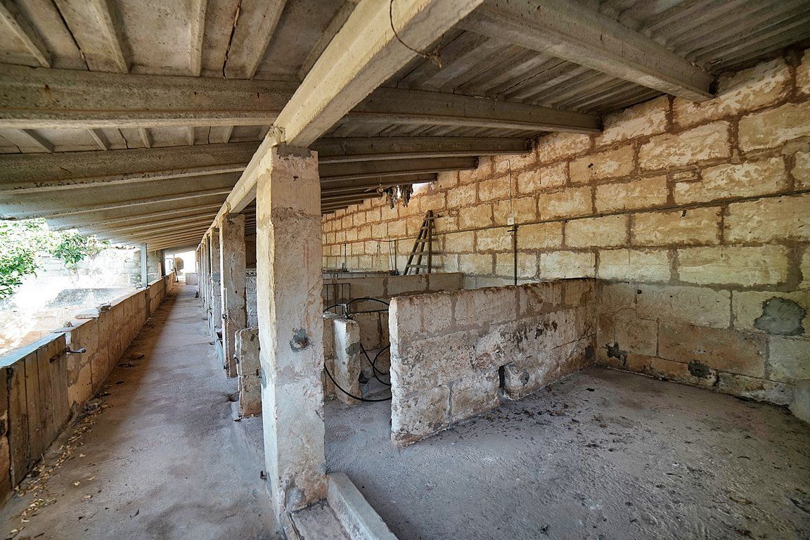 Country House to Renovate in Ses Salines, Southern Mallorca