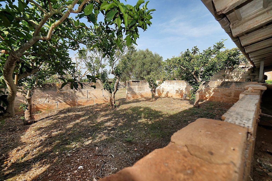 Country House to Renovate in Ses Salines, Southern Mallorca