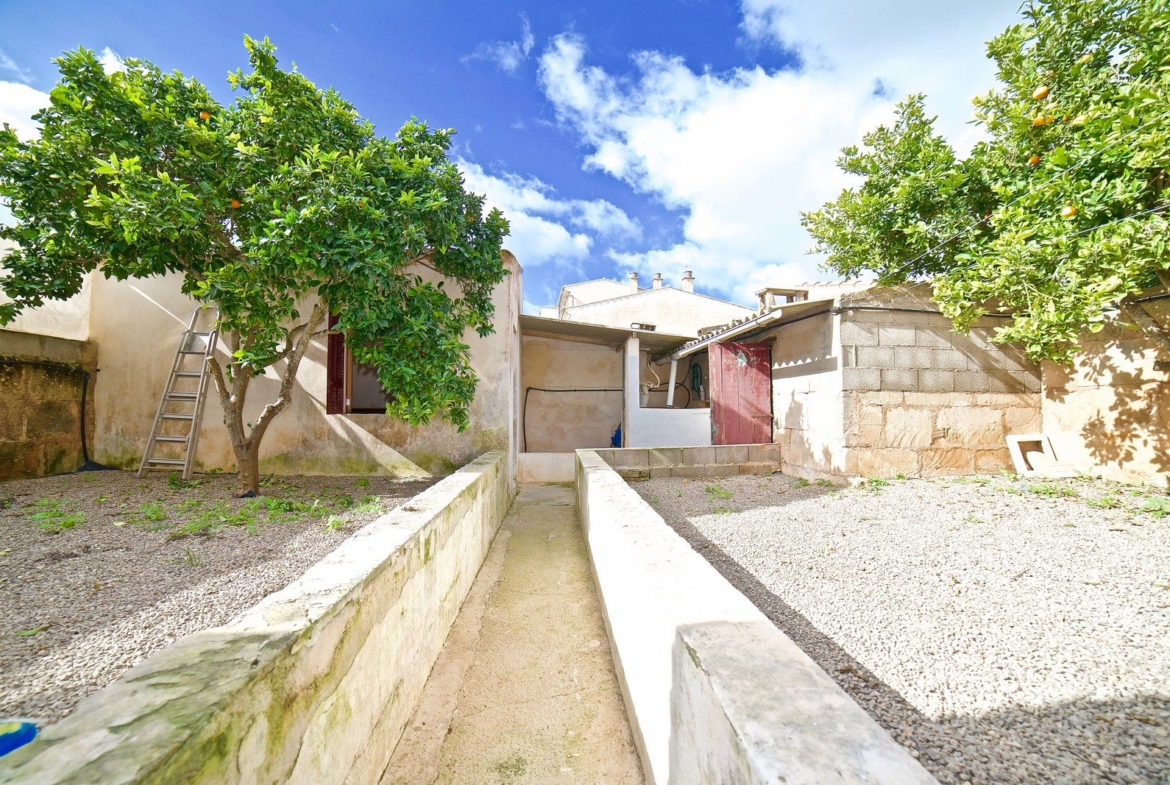 Ground-Floor Apartment with Large Terrace for Rent, Ses Salines